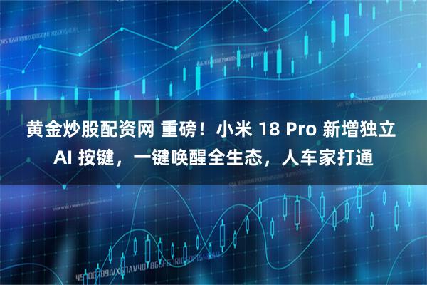 黄金炒股配资网 重磅！小米 18 Pro 新增独立 AI 按键，一键唤醒全生态，人车家打通